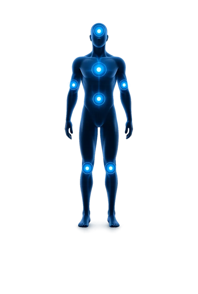 Human body showing symptom areas of ME/CFS, Long COVID, fibromyalgia, POTS, and related nervous system conditions: head, chest, arms, abdomen, and knees